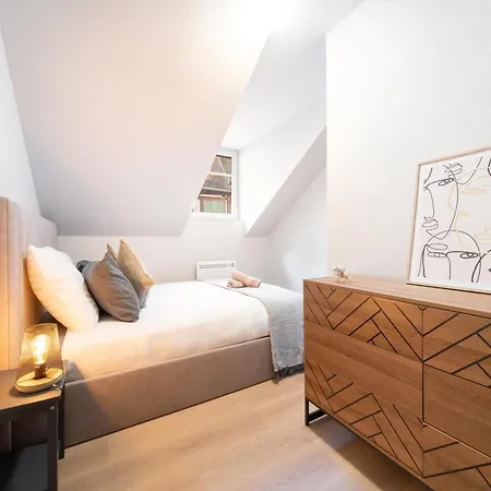 Le Grand Lion Centre Parking Gratuit Apartment Colmar