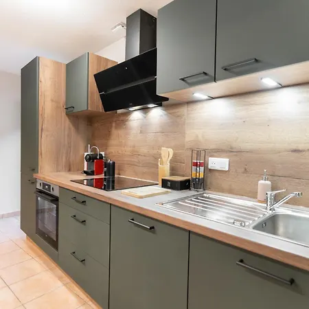 Apartment Le Grand Lion Centre Parking Gratuit Colmar