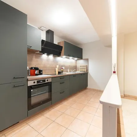 Le Grand Lion Centre Parking Gratuit * Colmar